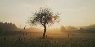 Jak długo boli rana po operacji?