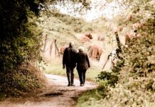 Ile emerytury z PPK?