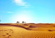 Jak na nowo odnaleźć sens życia?