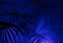 Czy PPK to instrumenty finansowe? Czy PPK to instrumenty finansowe?