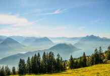 Jak obejść komornika i dogadać się z wierzycielem? Jak obejść komornika i dogadać się z wierzycielem?