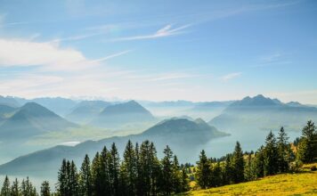 Jak obejść komornika i dogadać się z wierzycielem?