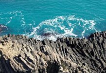 Jak pozbyć się Akcjonariusza?