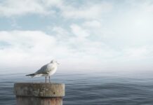 Jak się uspokoić w minutę?