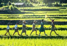 Co może robić biegły rewident?