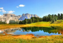 Jaki jest zakres rachunkowości?