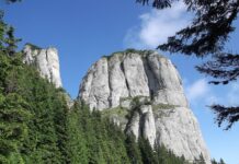 Kiedy powstały MSR?