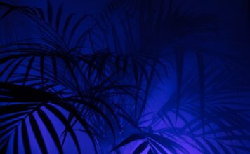 Jakie zmiany w PPK od 2023?