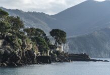 Ile kosztuje sok Herbapol? Ile kosztuje sok Herbapol?