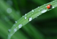 Z czego najlepsza jest pościel? Z czego najlepsza jest pościel?