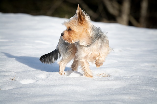 Dlaczego noski w okularach robią się zielone? Dlaczego noski w okularach robią się zielone?