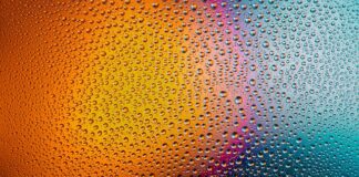 Jak często należy myć sedes?