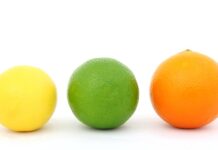 Jakie są rozmiary szelek dla psów?