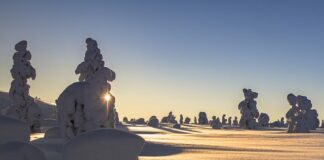 Jakie obciążenie wytrzyma płyta meblowa?